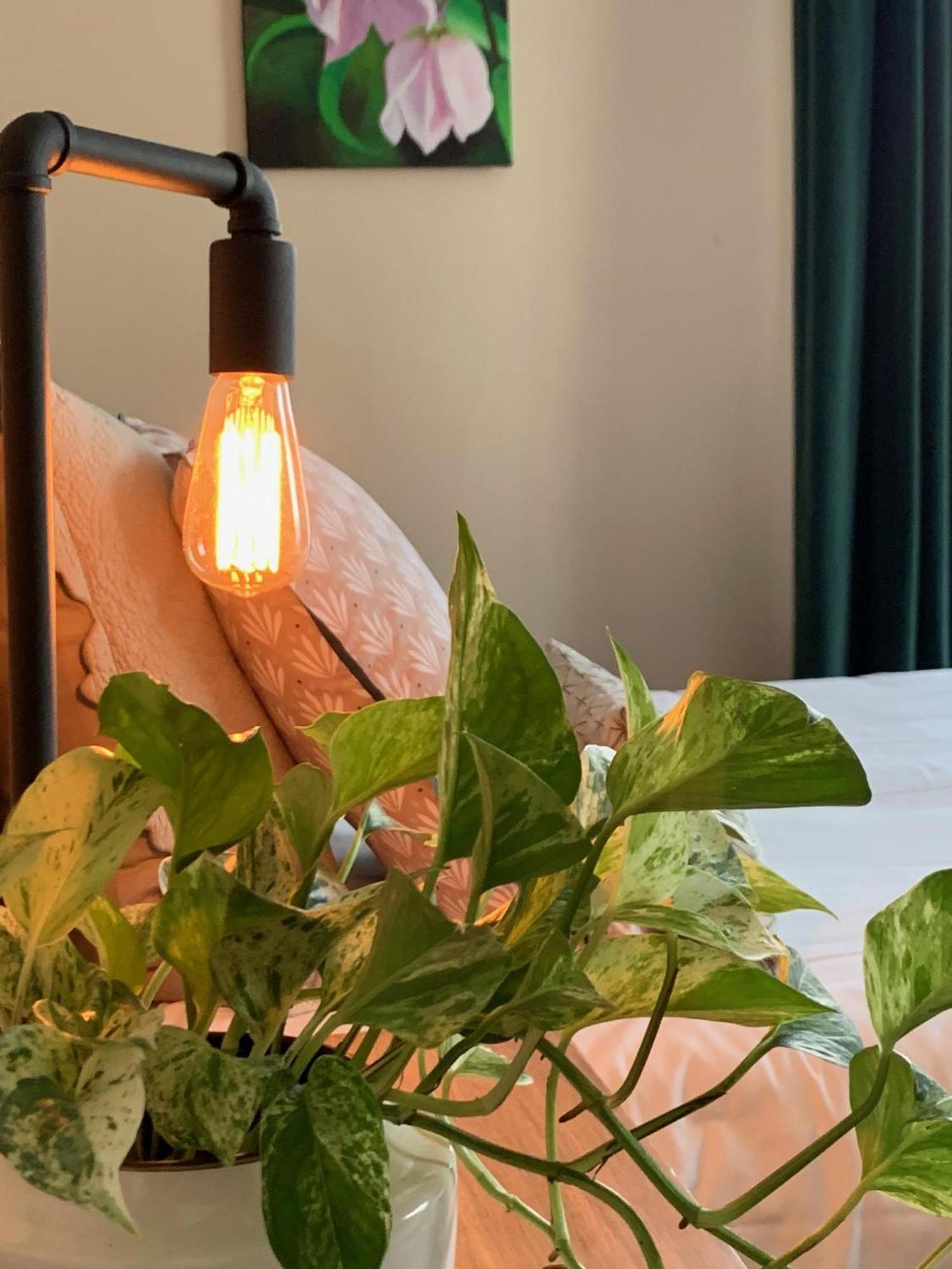 Le 14 St Michel Bed and Breakfast Josselin Kamer foto
